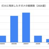 タガメ灯火観察例2020_サムネ