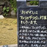 青山のタワマン「いい感じのビオトープ作ったよ！」→ザリガニ放されて壊滅の顛末