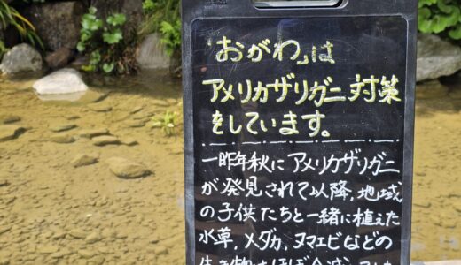 下のソーシャルリンクからフォロー