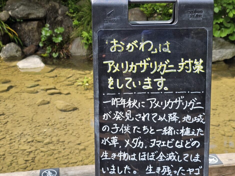 青山のザリガニ対策看板