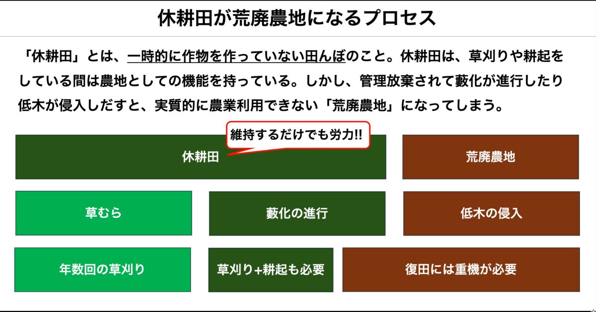 休耕田が荒廃農地になるプロセス
