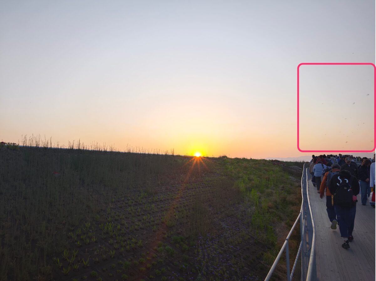 写真に映り込むユスリカの蚊柱