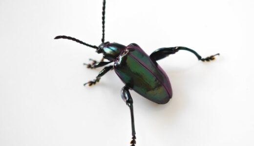 下のソーシャルリンクからフォロー