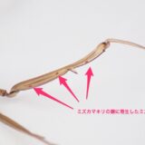 ミズダニに寄生されたミズカマキリ