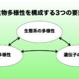 生物多様性を構成する3つの要素